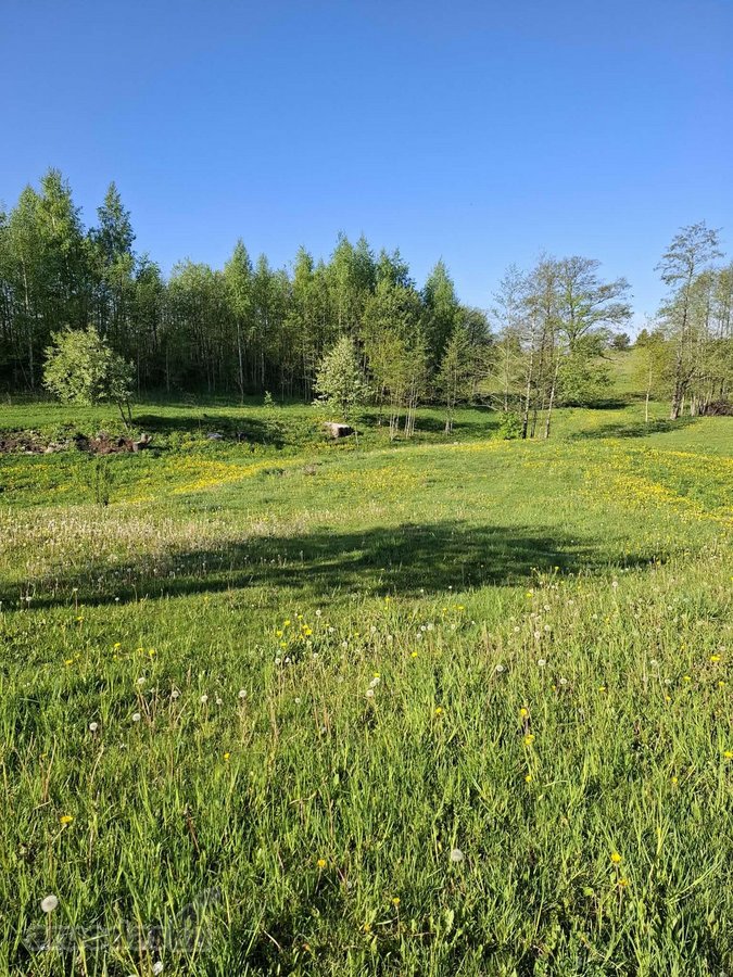 Yra Galimybė Dasipirkti 12 ha Ūkinės - nuotraukos Nr. 16