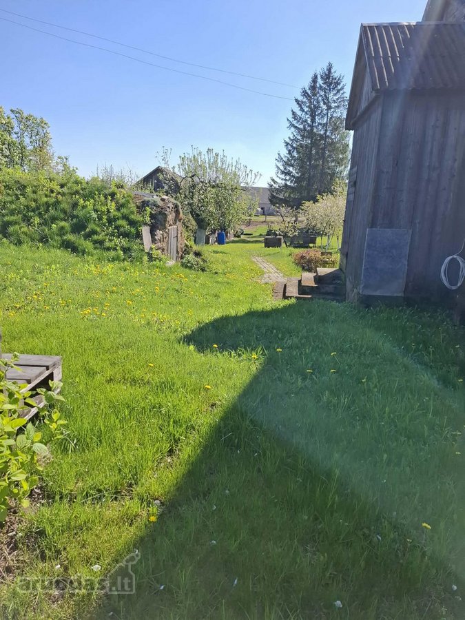 Yra Galimybė Dasipirkti 12 ha Ūkinės - nuotraukos Nr. 4