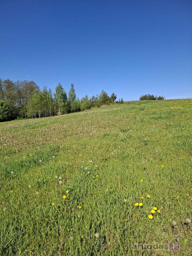Yra Galimybė Dasipirkti 12 ha Ūkinės - nuotraukos Nr. 18