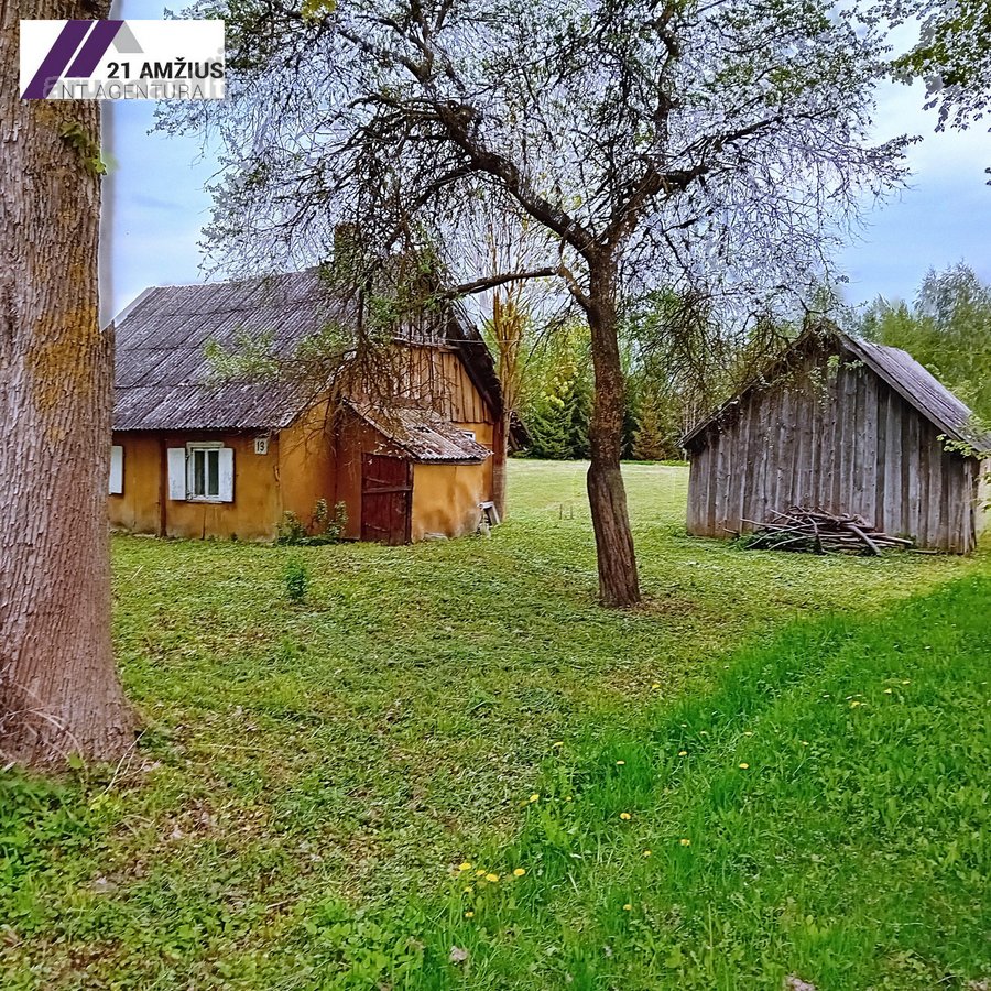 Ieškote erdvaus sklypo su nameliu? Turime - nuotraukos Nr. 2