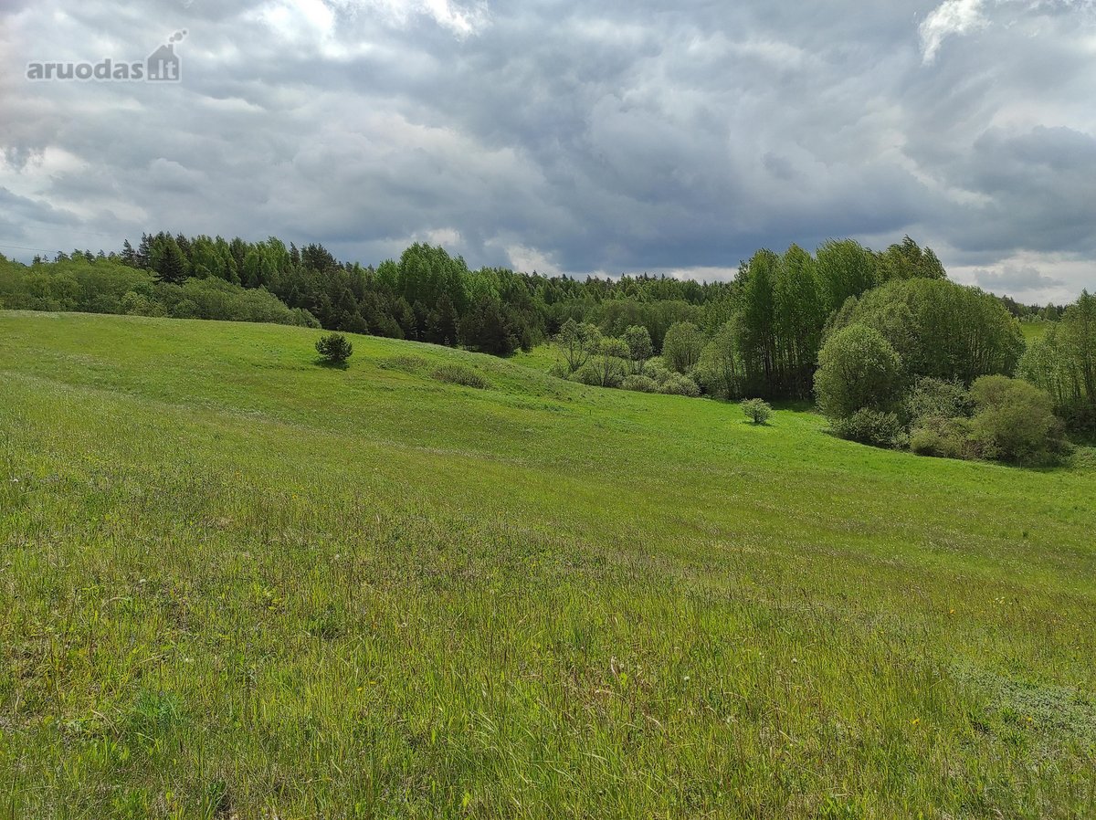 Parduodamas 1,6 Ha Sklypas Su Statybos Galimybe - nuotraukos Nr. 9