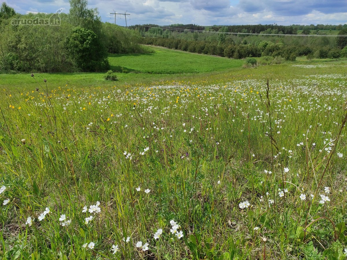 Parduodamas 1,6 Ha Sklypas Su Statybos Galimybe - nuotraukos Nr. 10