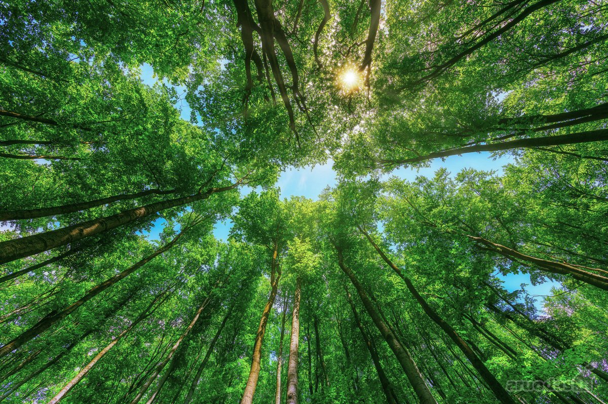 Parduodamas 8,28 Ha Žemės Ūkio Paskirties
