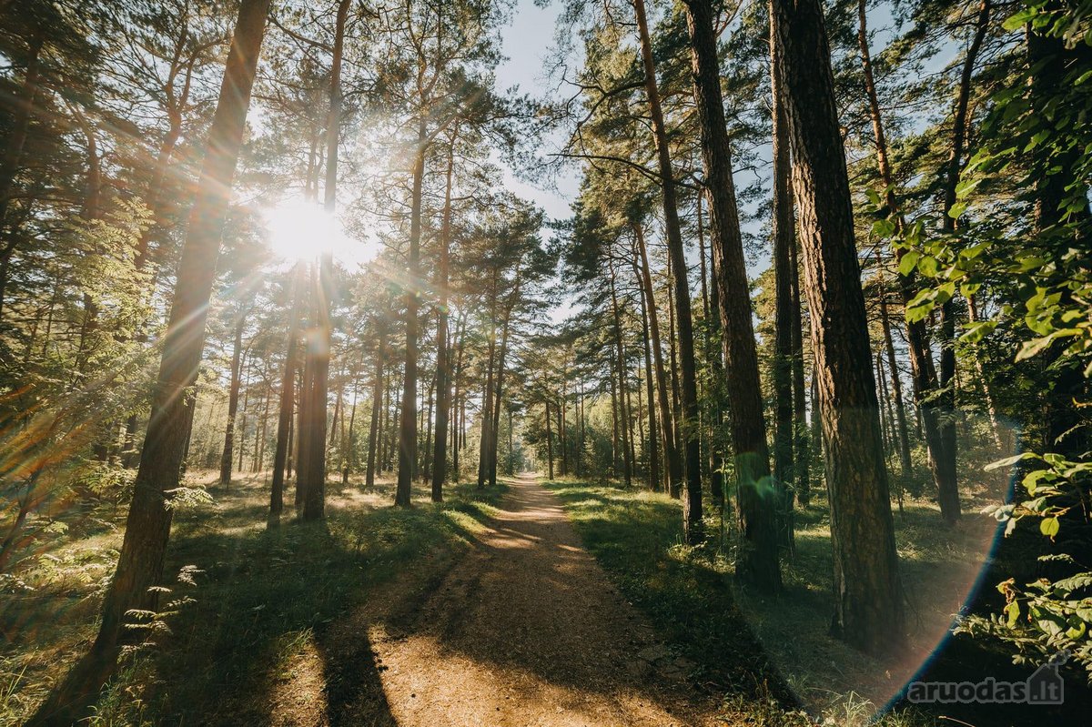 Ramioje Ir Pušynų Apsuptoje Nemirsetoje - nuotraukos Nr. 32
