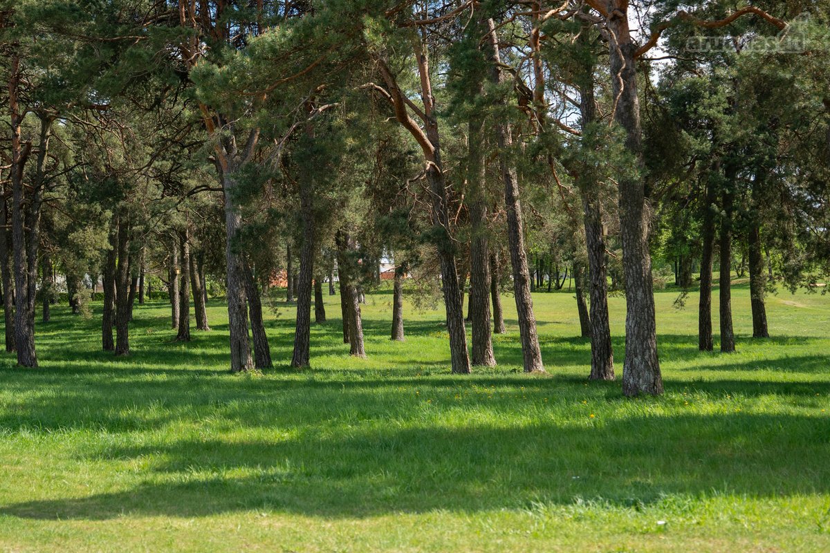 Parduodamas A++ Klasės Vieno Aukšto Namas - nuotraukos Nr. 23