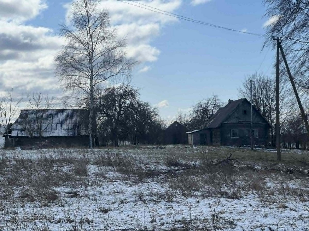 Parduodama autentiška sodyba išskirtinėje - nuotraukos Nr. 4