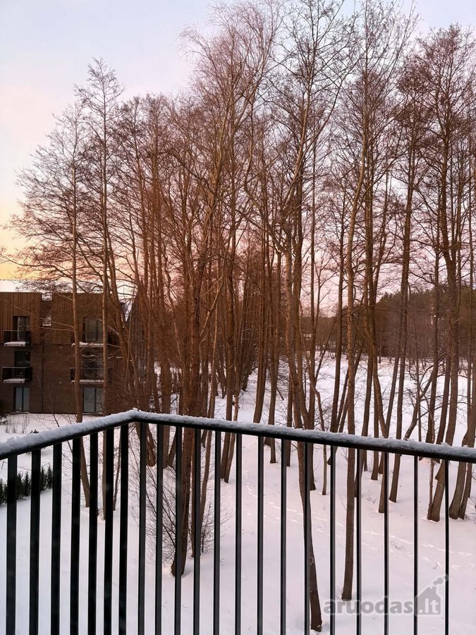 Ramioje Ir Pušynų Apsuptoje Nemirsetoje - nuotraukos Nr. 26