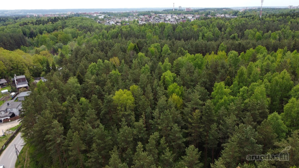 Parduodamas 11,37 a namų valdos sklypas - nuotraukos Nr. 2