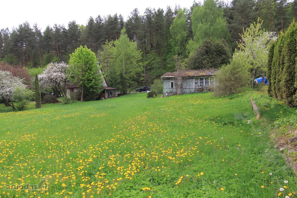 Parduodamas 11,37 a namų valdos sklypas - nuotraukos Nr. 17