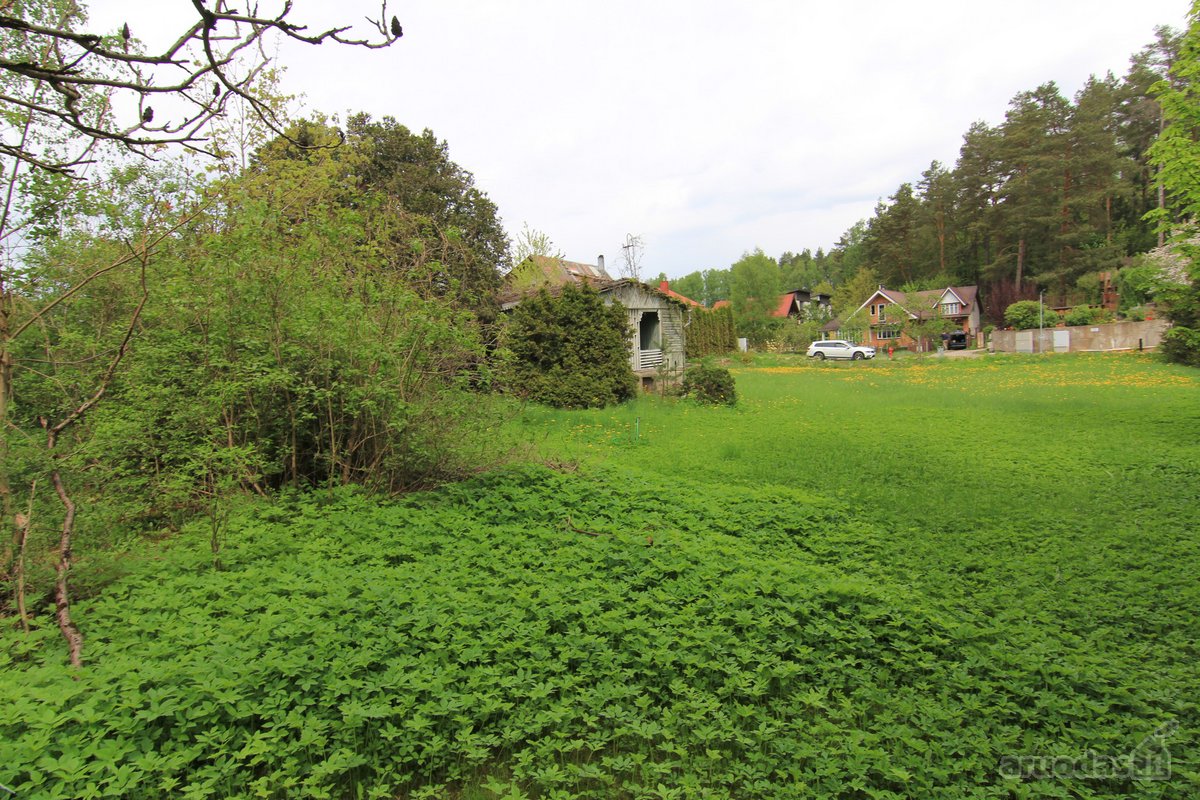 Parduodamas 11,37 a namų valdos sklypas - nuotraukos Nr. 30