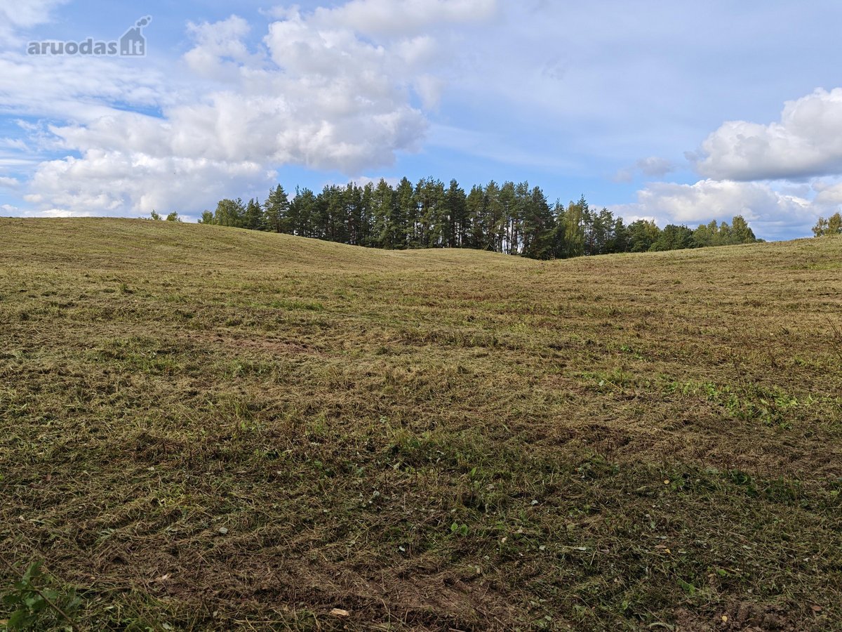 Parduodamas žemės sklypas 5,1h. Pastatų nėra. - nuotraukos Nr. 4