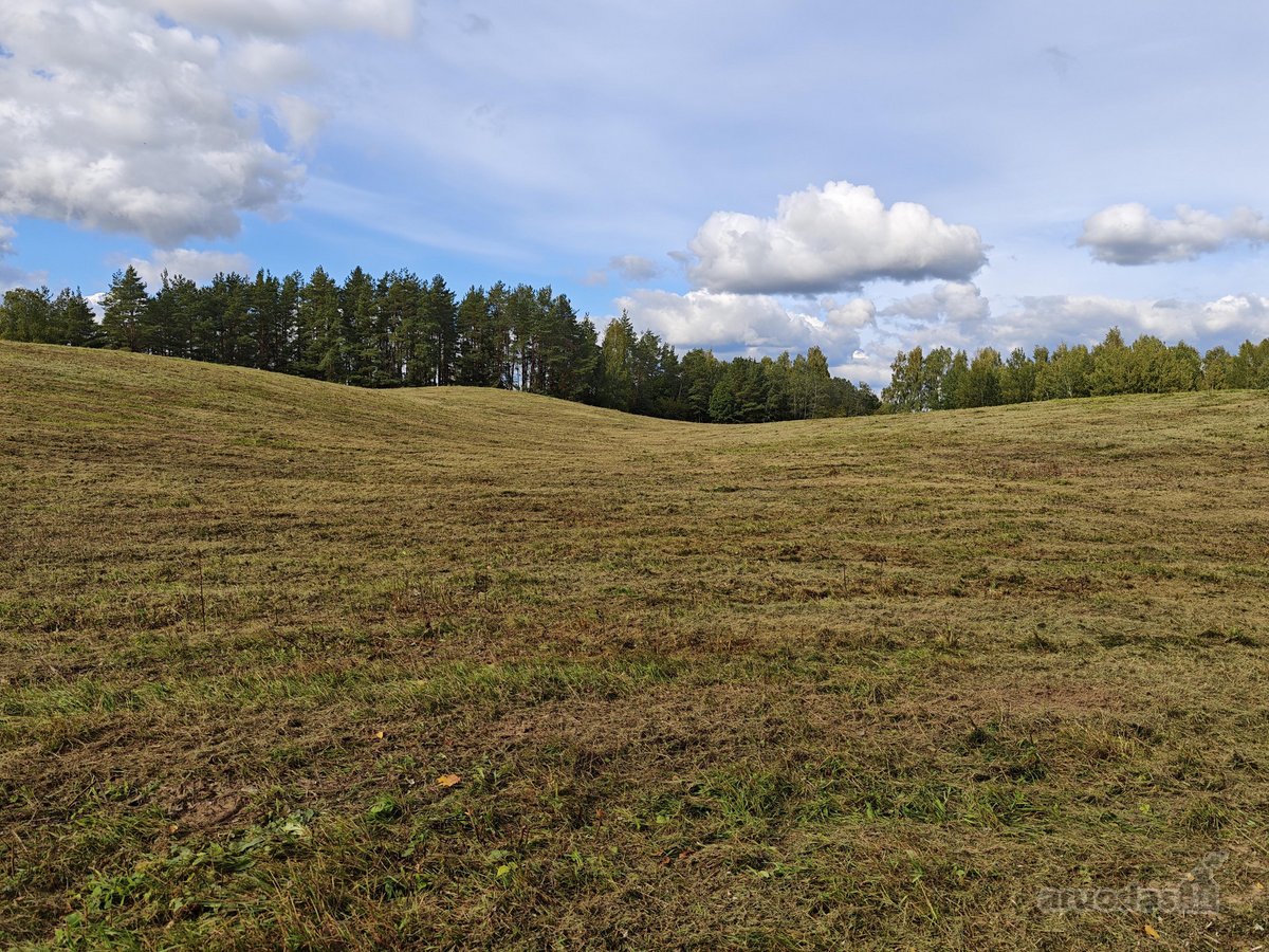 Parduodamas žemės sklypas 5,1h. Pastatų nėra. - nuotraukos Nr. 5
