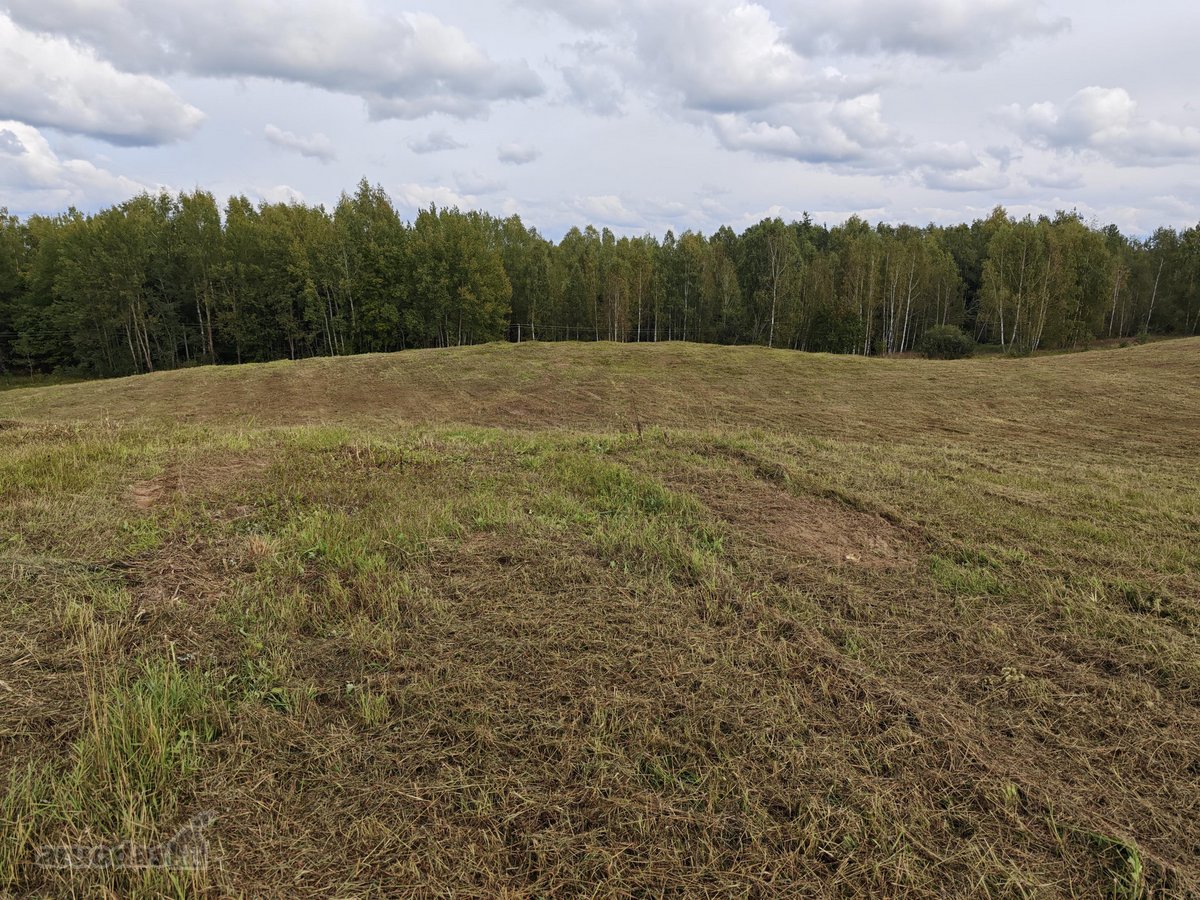 Parduodamas žemės sklypas 5,1h. Pastatų nėra. - nuotraukos Nr. 7
