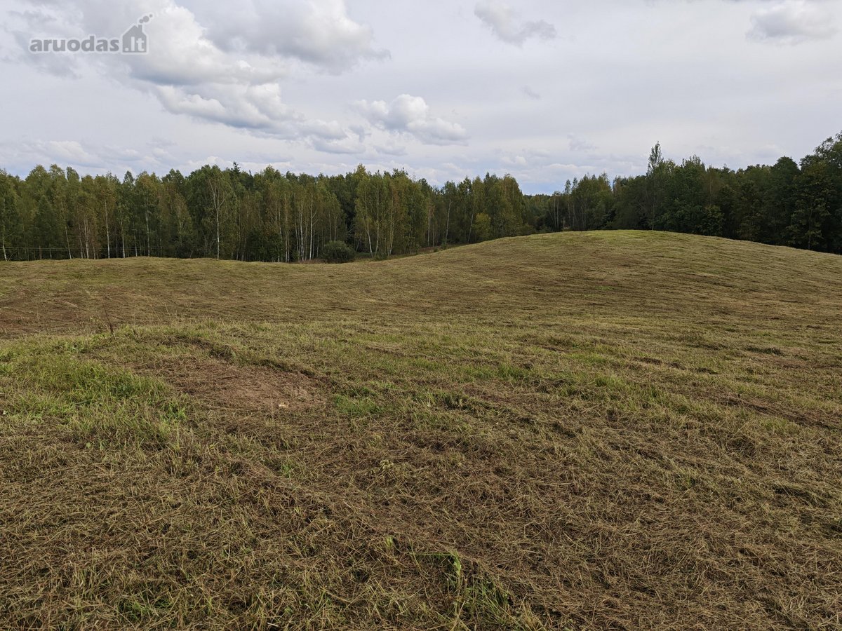 Parduodamas žemės sklypas 5,1h. Pastatų nėra. - nuotraukos Nr. 8
