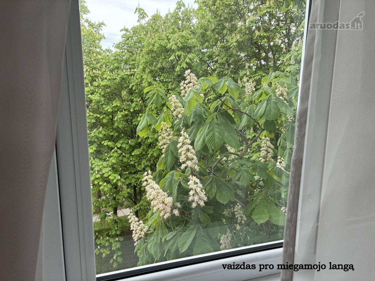 Pačioje Šiaulių miesto širdyje parduodamas - nuotraukos Nr. 11