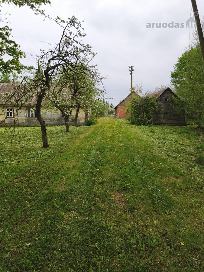 Pasvalio r. sav., Kiemėnų k. - nuotraukos Nr. 2