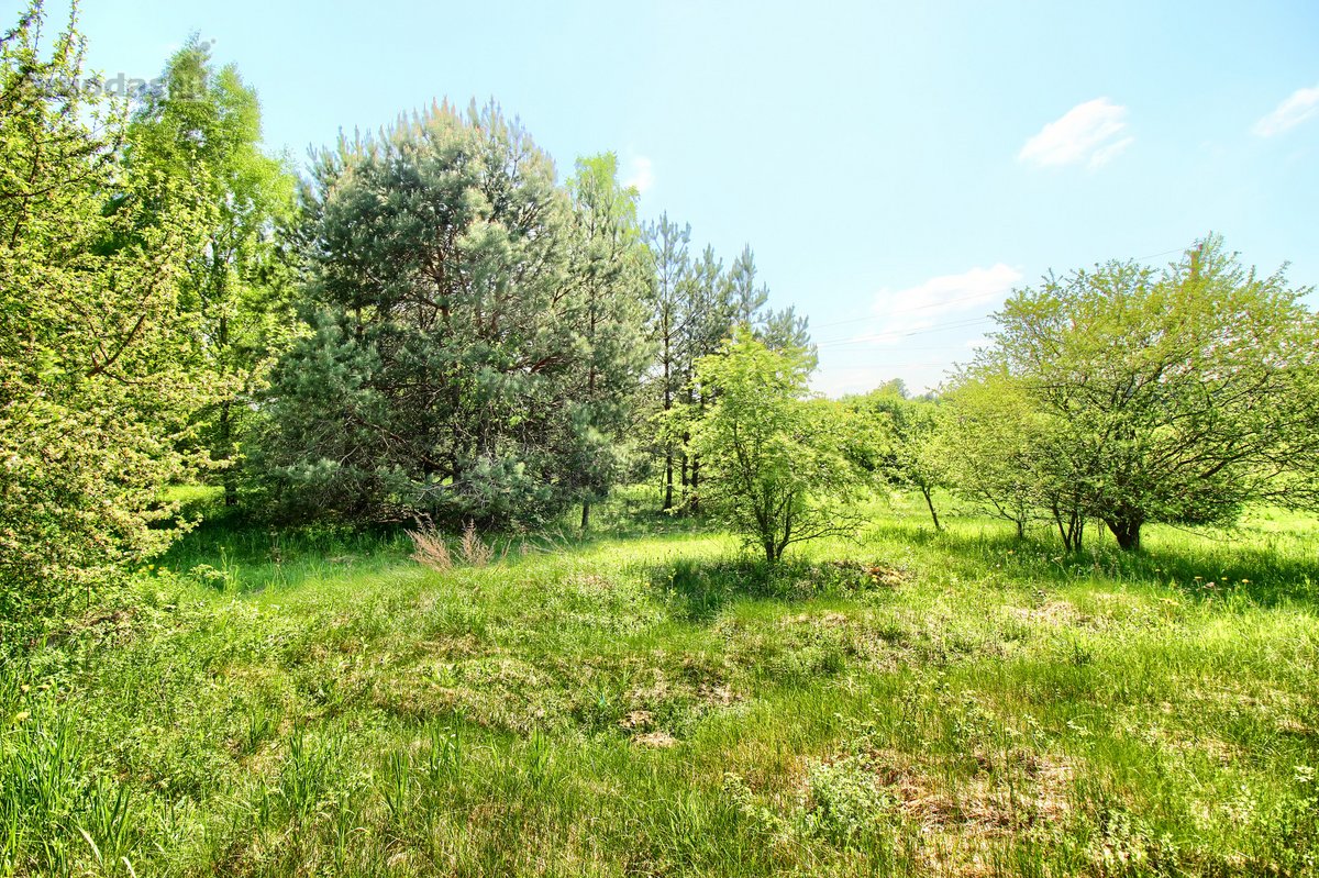 Erdvus sklypas Vilniaus mieste – retas ir - nuotraukos Nr. 8