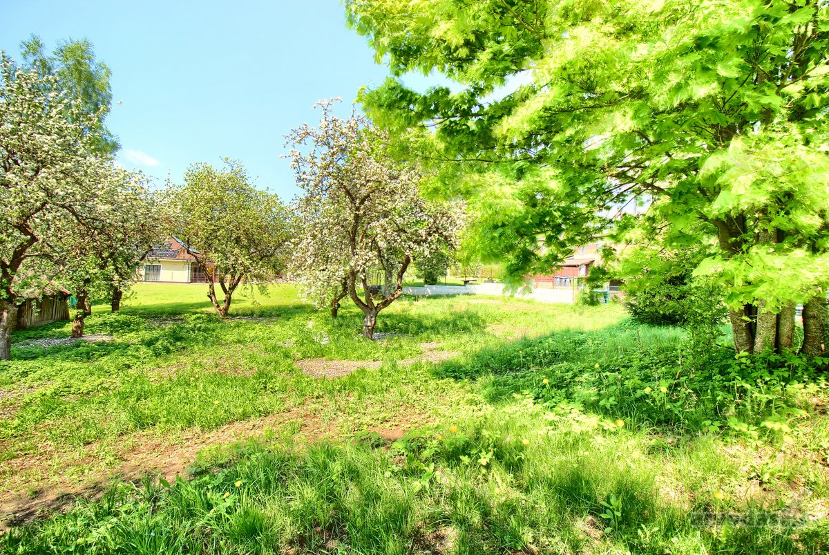 Erdvus sklypas Vilniaus mieste – retas ir - nuotraukos Nr. 6