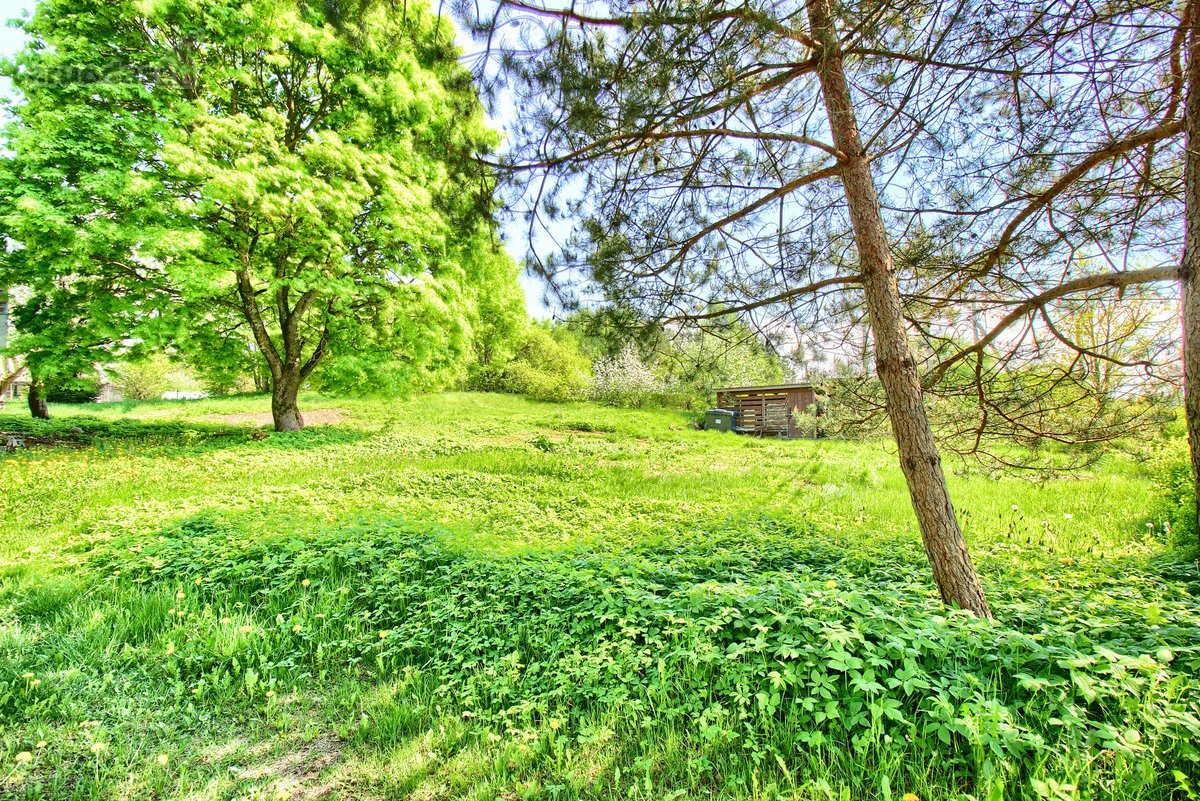 Erdvus sklypas Vilniaus mieste – retas ir - nuotraukos Nr. 7