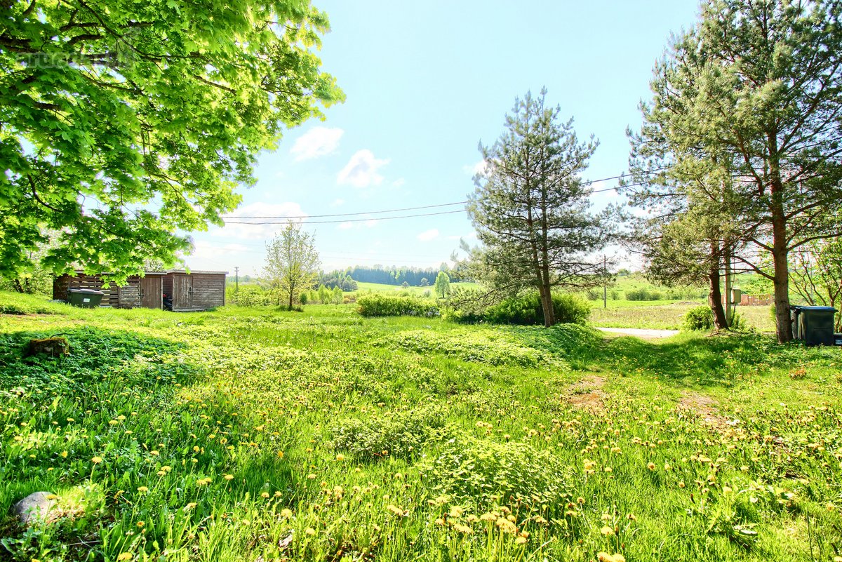 Erdvus sklypas Vilniaus mieste – retas ir - nuotraukos Nr. 3