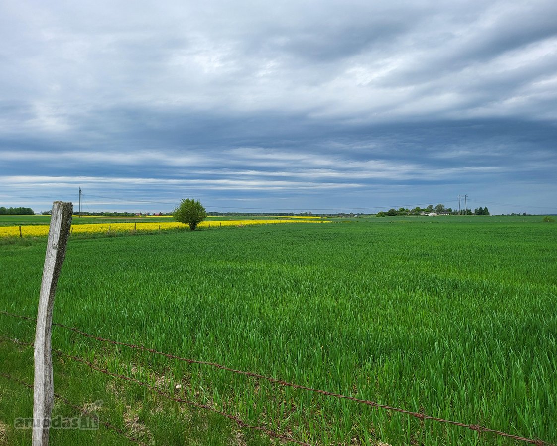 Parduodamas žemės ūkio paskirties 2.6ha - nuotraukos Nr. 3