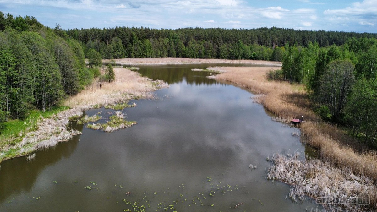 Parduodamas namų valdos sklypas Ignalinos raj - nuotraukos Nr. 5