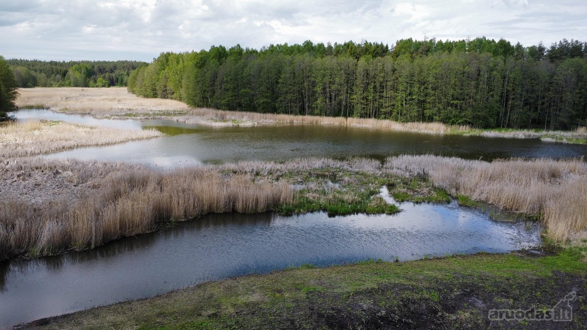 Parduodamas namų valdos sklypas Ignalinos raj - nuotraukos Nr. 2