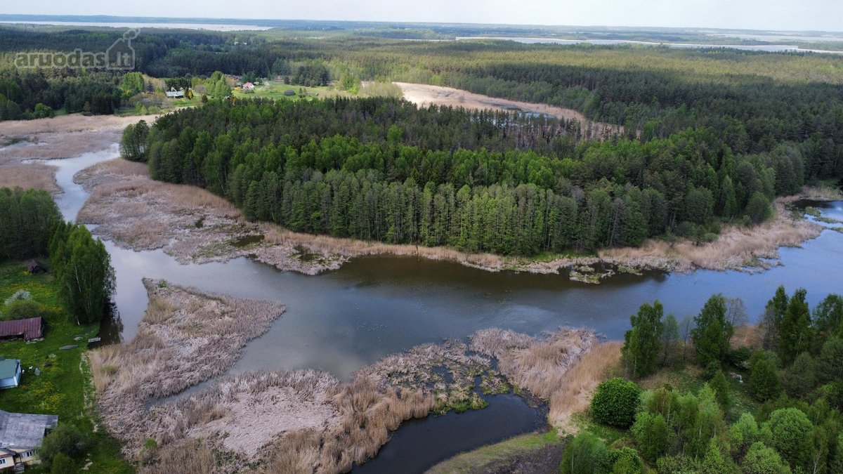 Parduodamas namų valdos sklypas Ignalinos raj - nuotraukos Nr. 15