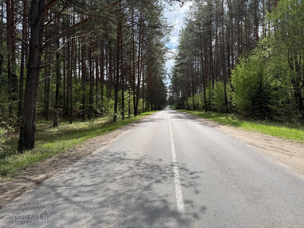 Parduodamas išskirtinis sklypas ūkininko - nuotraukos Nr. 2