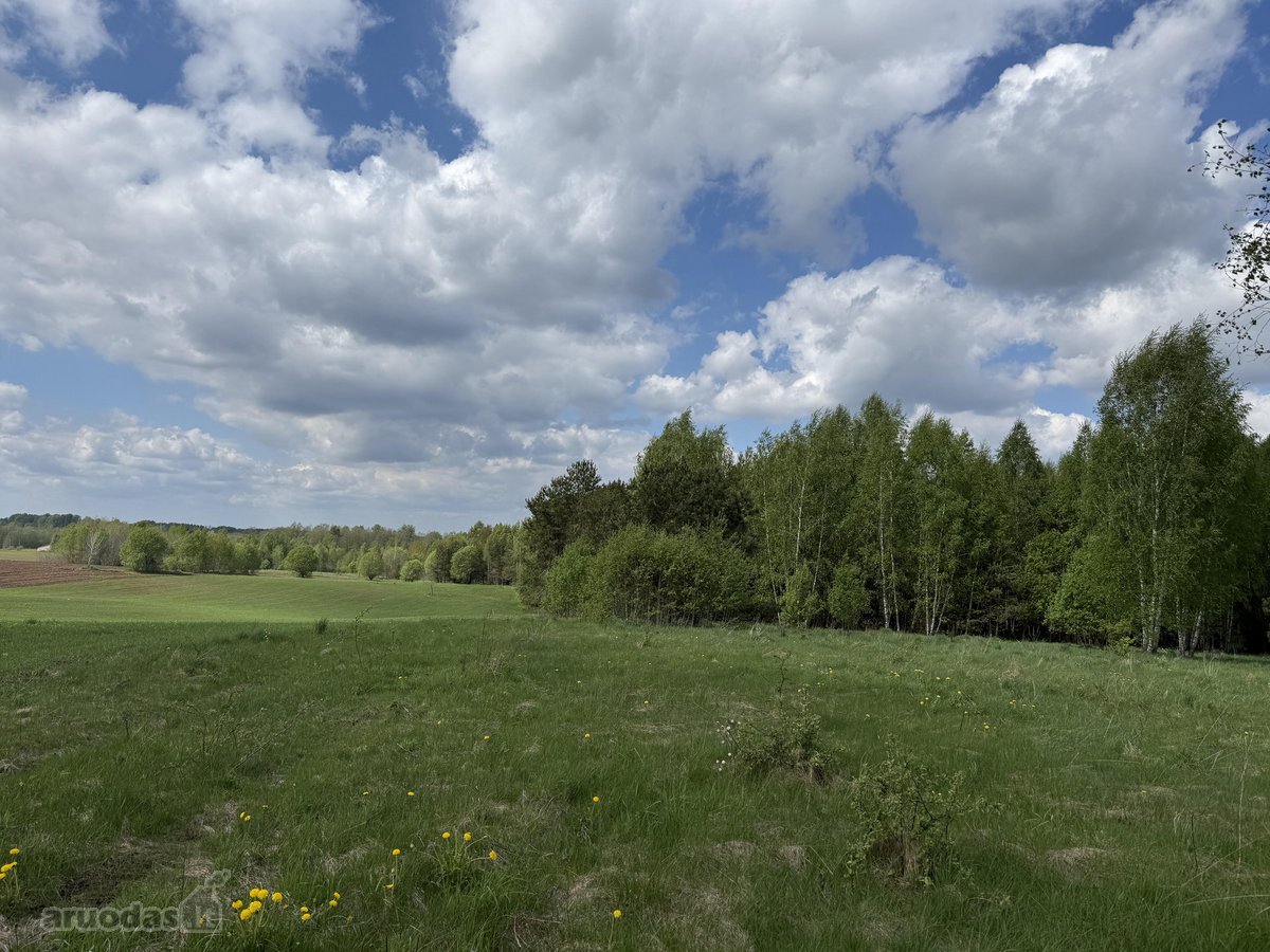 Parduodamas išskirtinis sklypas ūkininko - nuotraukos Nr. 4