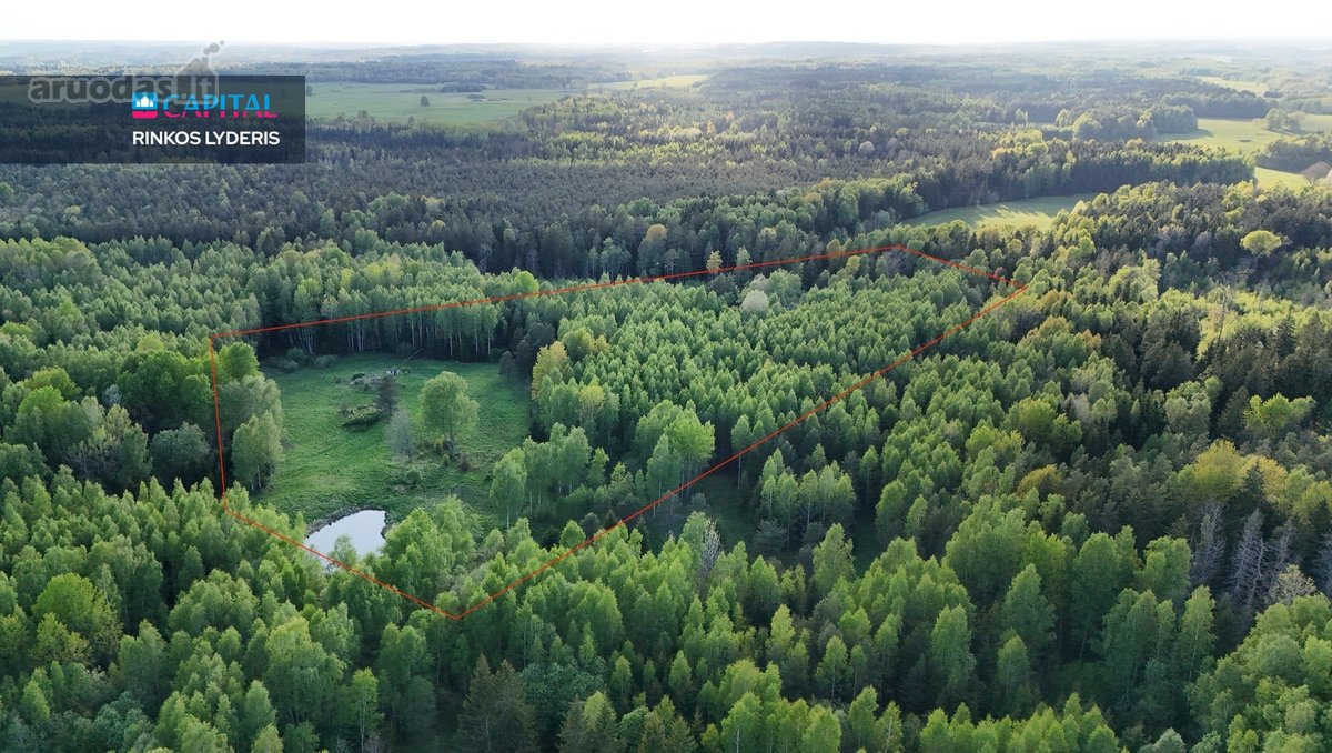 Parduodamas 4,53 ha žemės ūkio paskirties