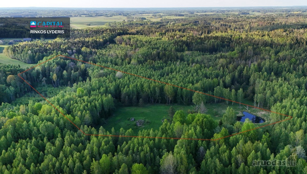 Parduodamas 4,53 ha žemės ūkio paskirties - nuotraukos Nr. 2
