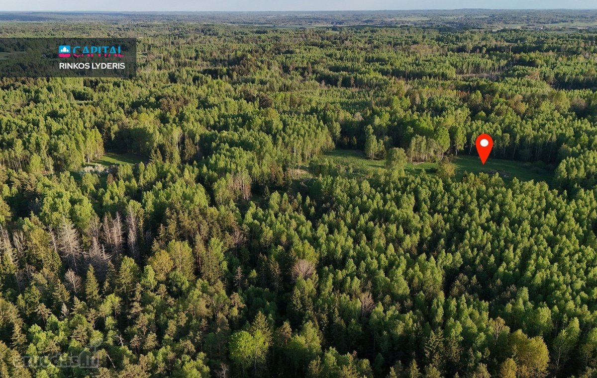 Parduodamas 4,53 ha žemės ūkio paskirties - nuotraukos Nr. 3