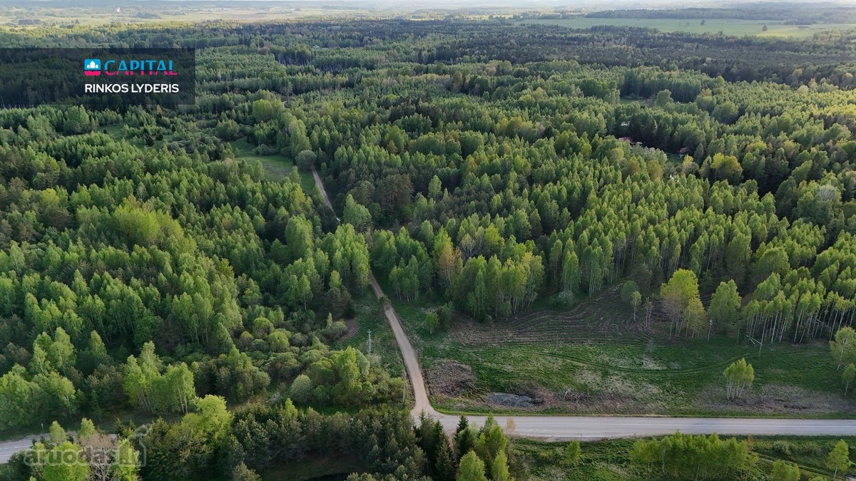 Parduodamas 4,53 ha žemės ūkio paskirties - nuotraukos Nr. 4