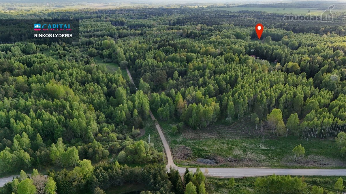 Parduodamas 4,53 ha žemės ūkio paskirties - nuotraukos Nr. 5
