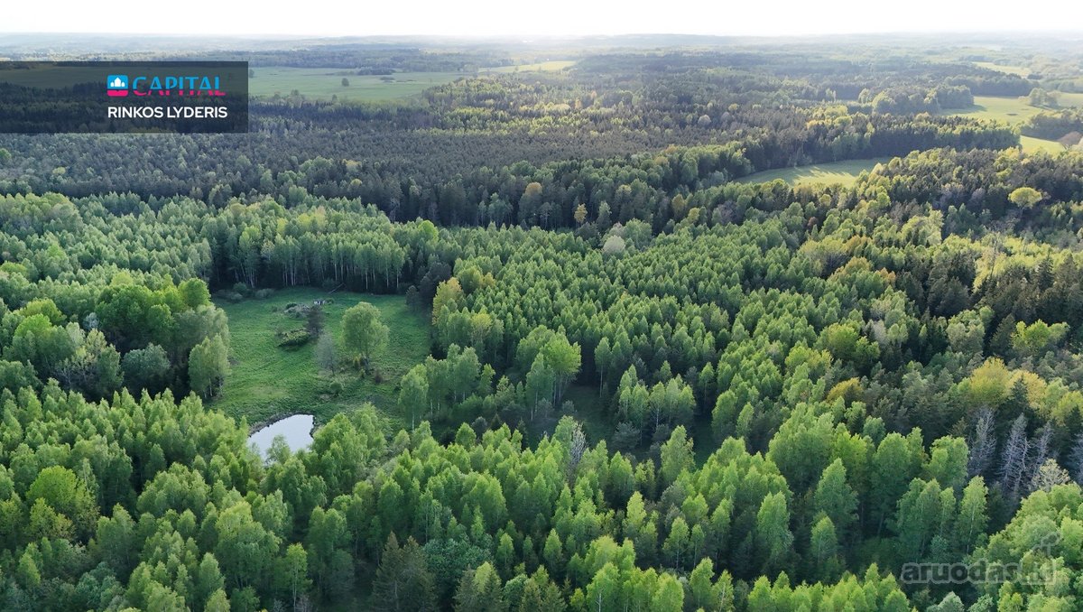 Parduodamas 4,53 ha žemės ūkio paskirties - nuotraukos Nr. 6