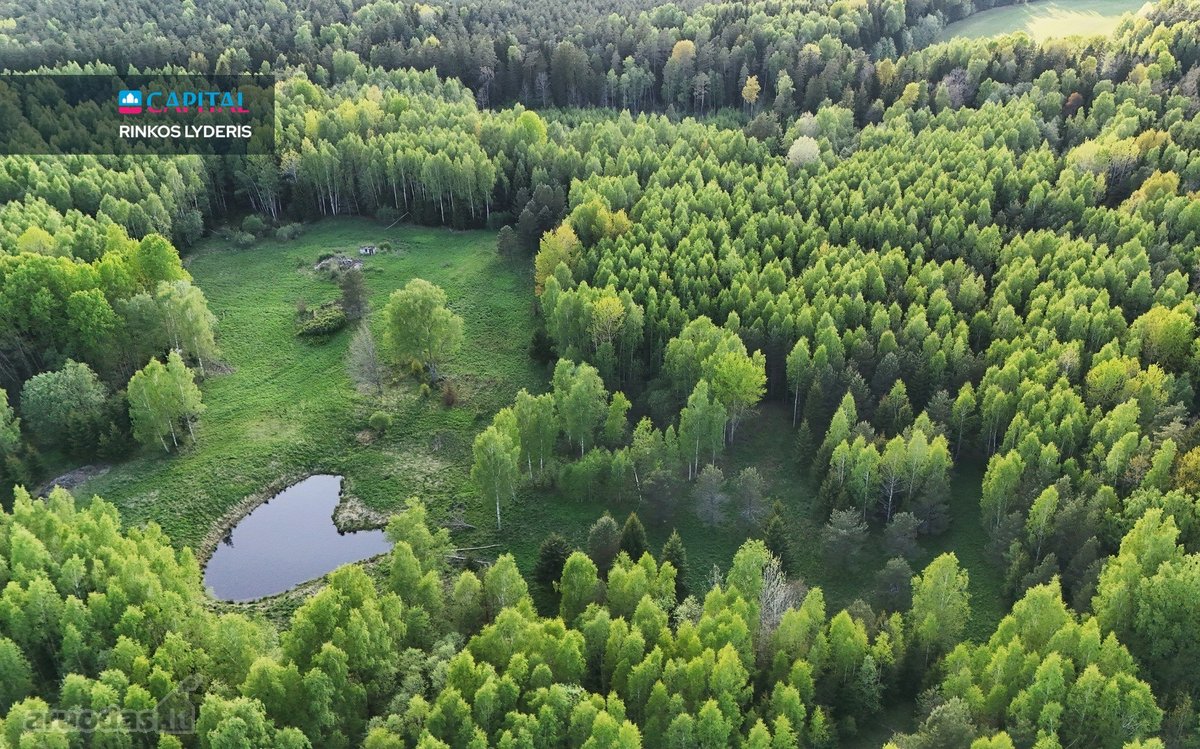 Parduodamas 4,53 ha žemės ūkio paskirties - nuotraukos Nr. 7