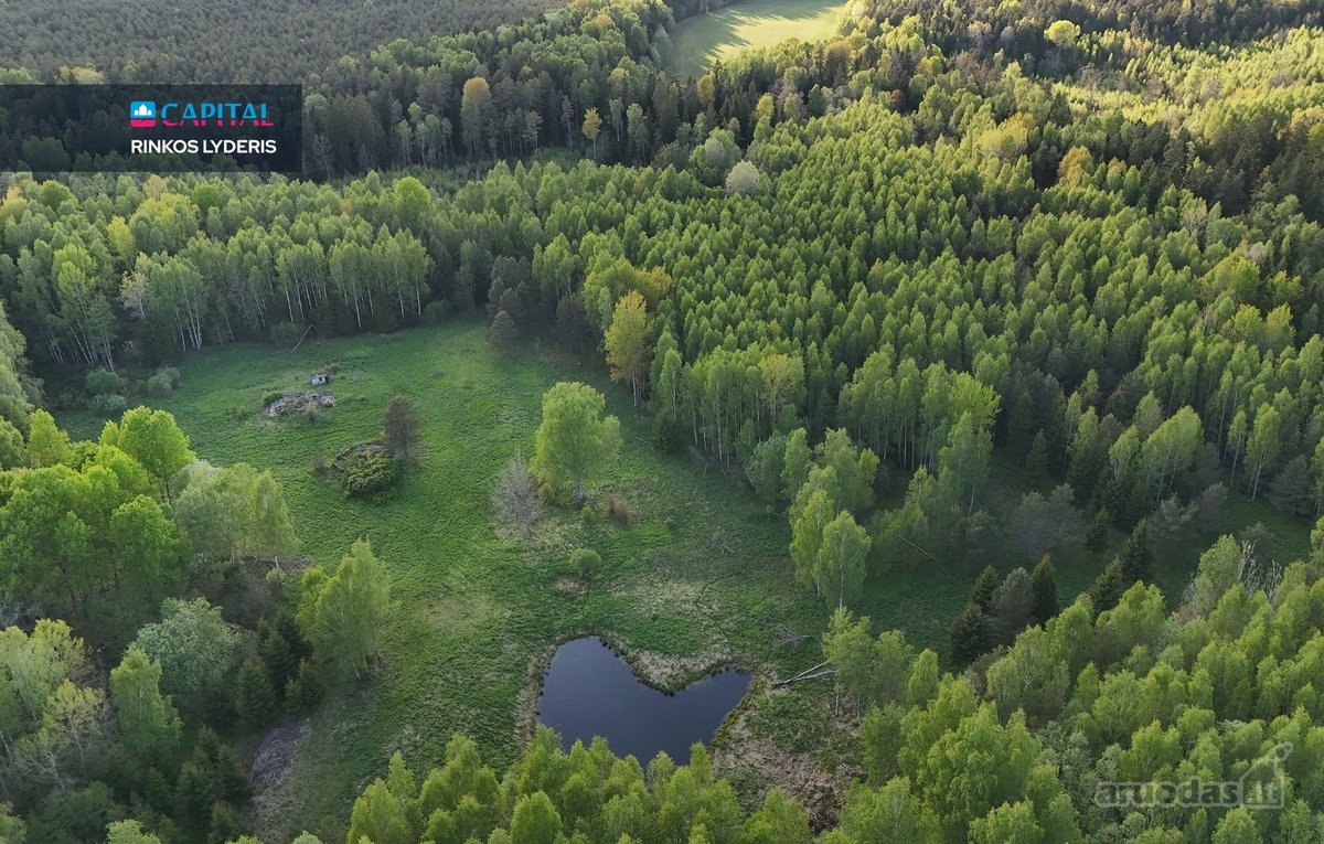 Parduodamas 4,53 ha žemės ūkio paskirties - nuotraukos Nr. 8