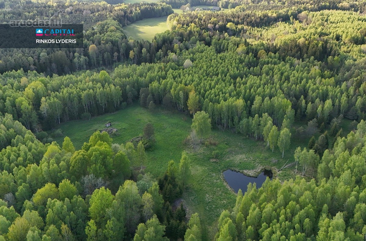 Parduodamas 4,53 ha žemės ūkio paskirties - nuotraukos Nr. 9
