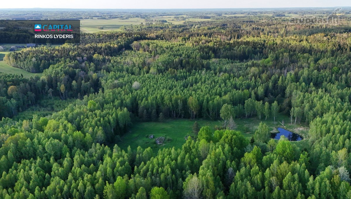 Parduodamas 4,53 ha žemės ūkio paskirties - nuotraukos Nr. 10