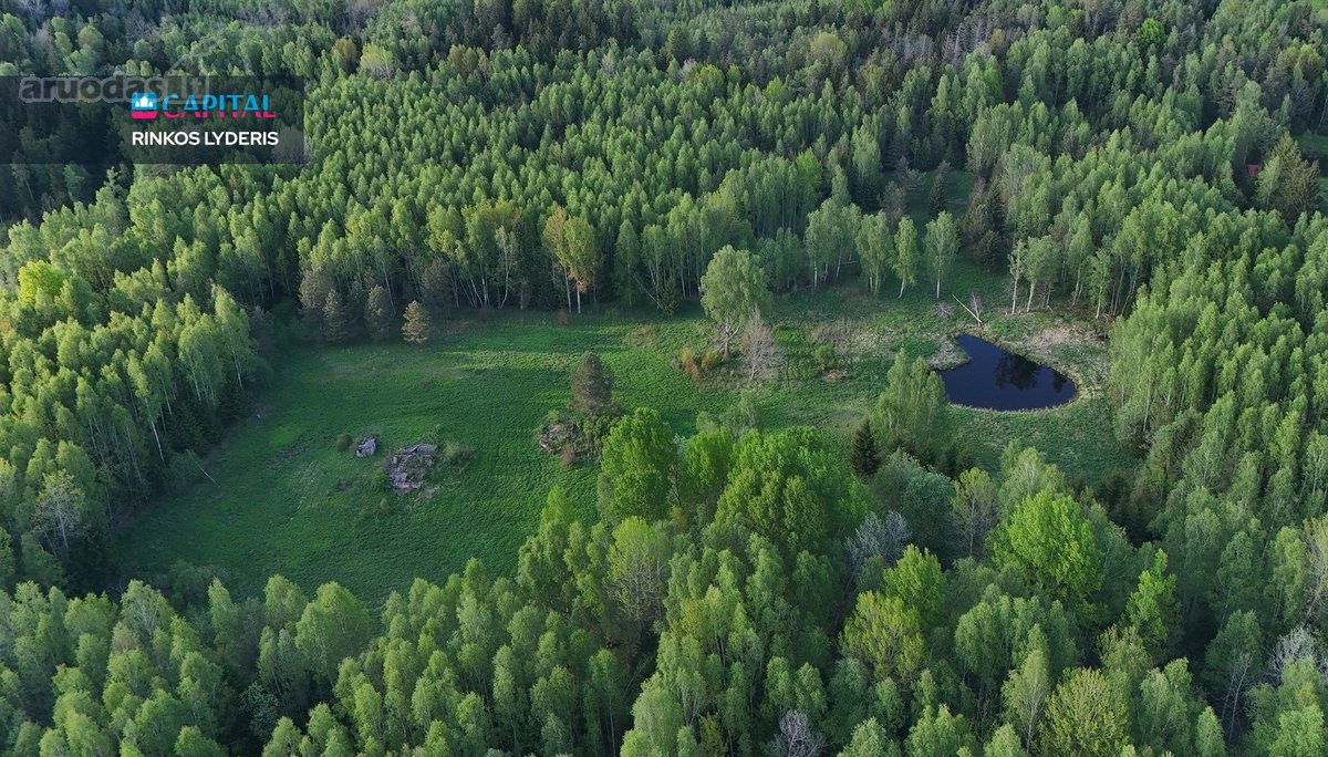 Parduodamas 4,53 ha žemės ūkio paskirties - nuotraukos Nr. 11