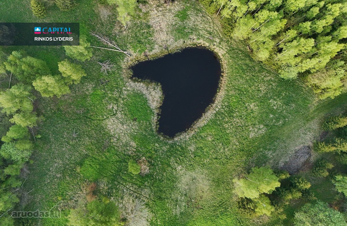 Parduodamas 4,53 ha žemės ūkio paskirties - nuotraukos Nr. 12