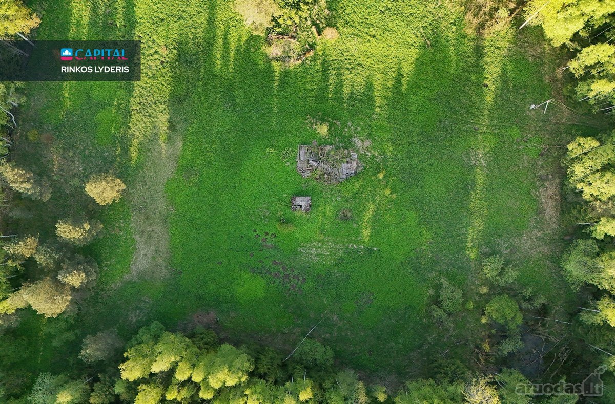 Parduodamas 4,53 ha žemės ūkio paskirties - nuotraukos Nr. 13