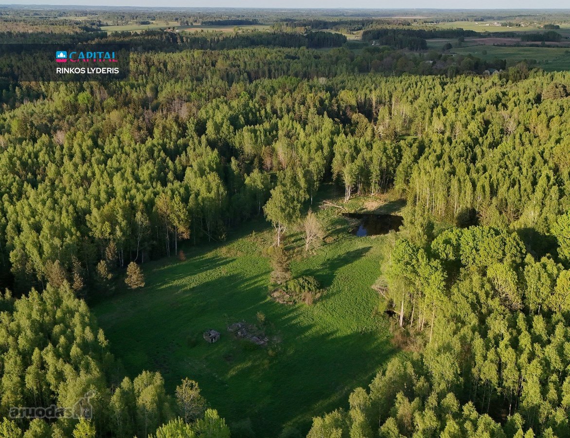 Parduodamas 4,53 ha žemės ūkio paskirties - nuotraukos Nr. 14