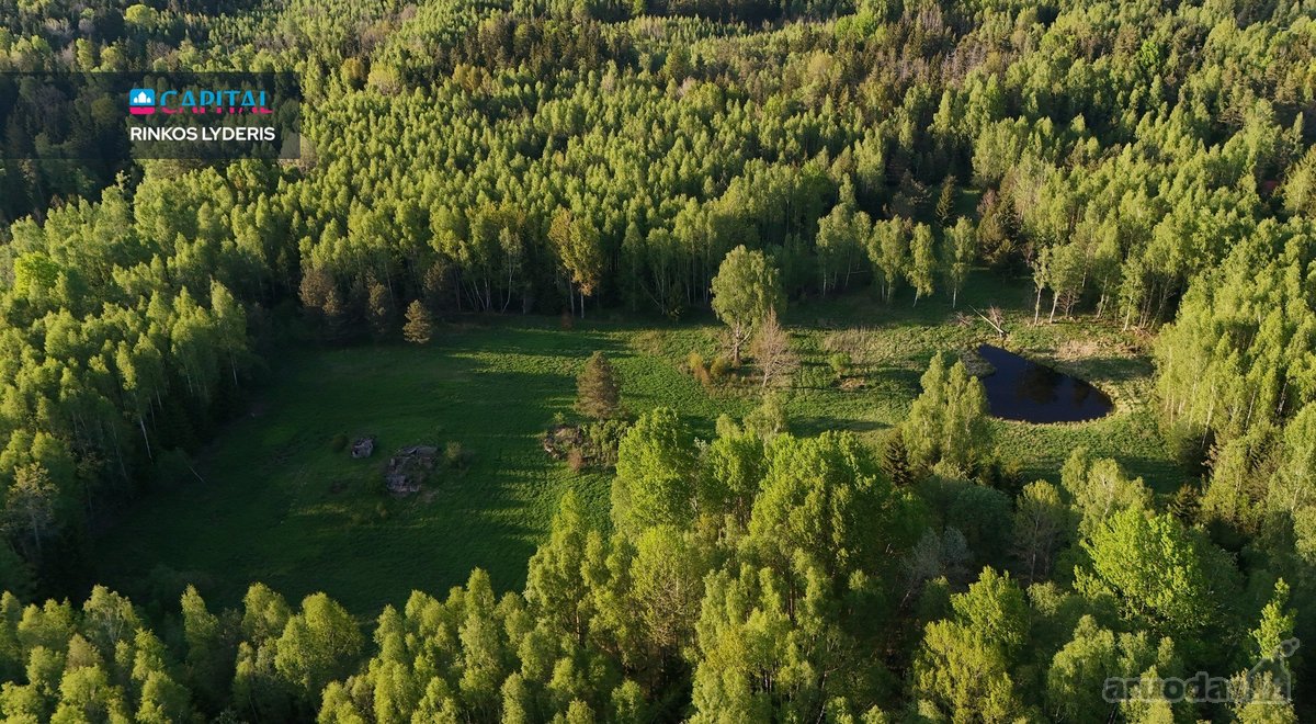 Parduodamas 4,53 ha žemės ūkio paskirties - nuotraukos Nr. 15