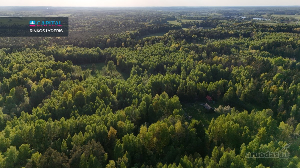 Parduodamas 4,53 ha žemės ūkio paskirties - nuotraukos Nr. 16