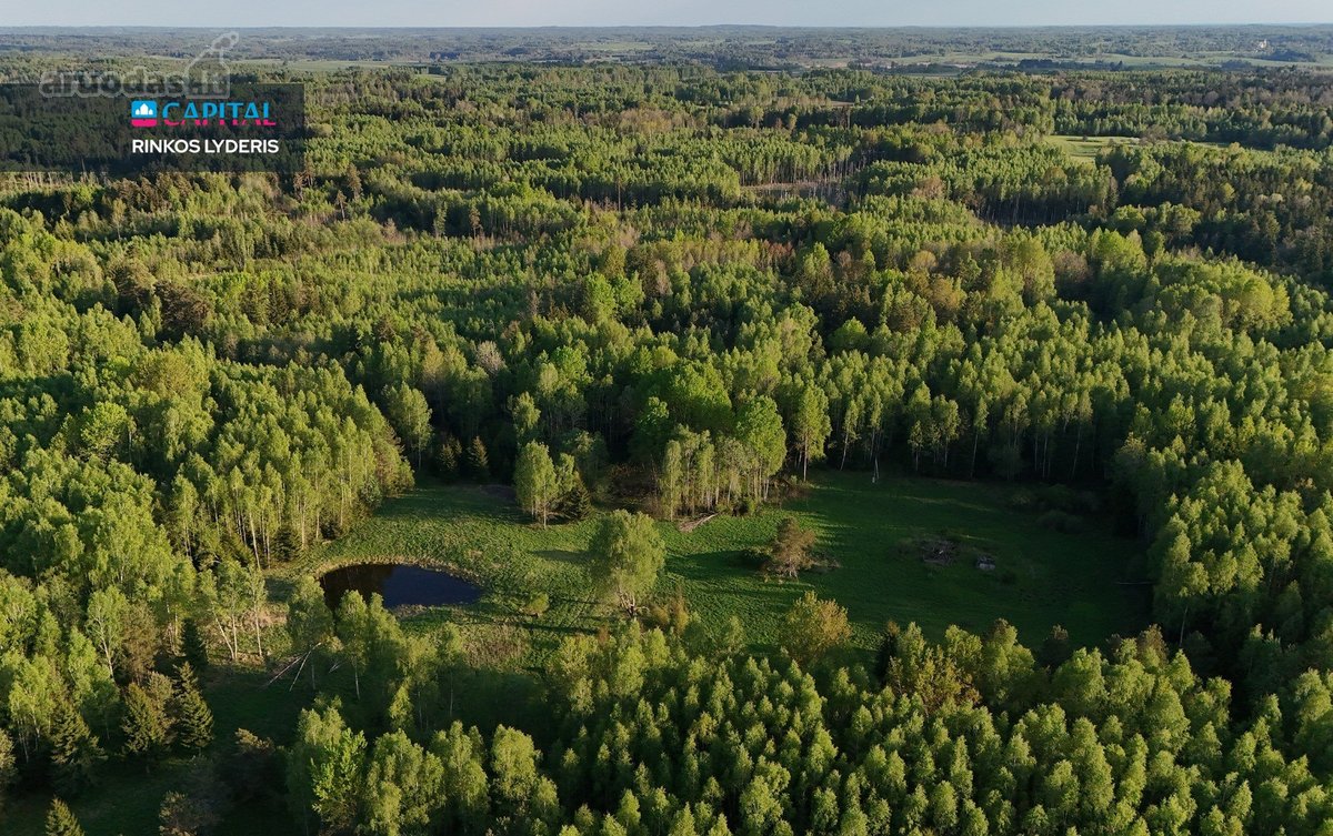Parduodamas 4,53 ha žemės ūkio paskirties - nuotraukos Nr. 17