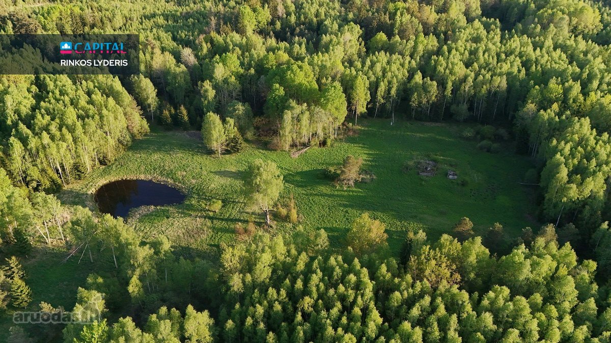 Parduodamas 4,53 ha žemės ūkio paskirties - nuotraukos Nr. 18