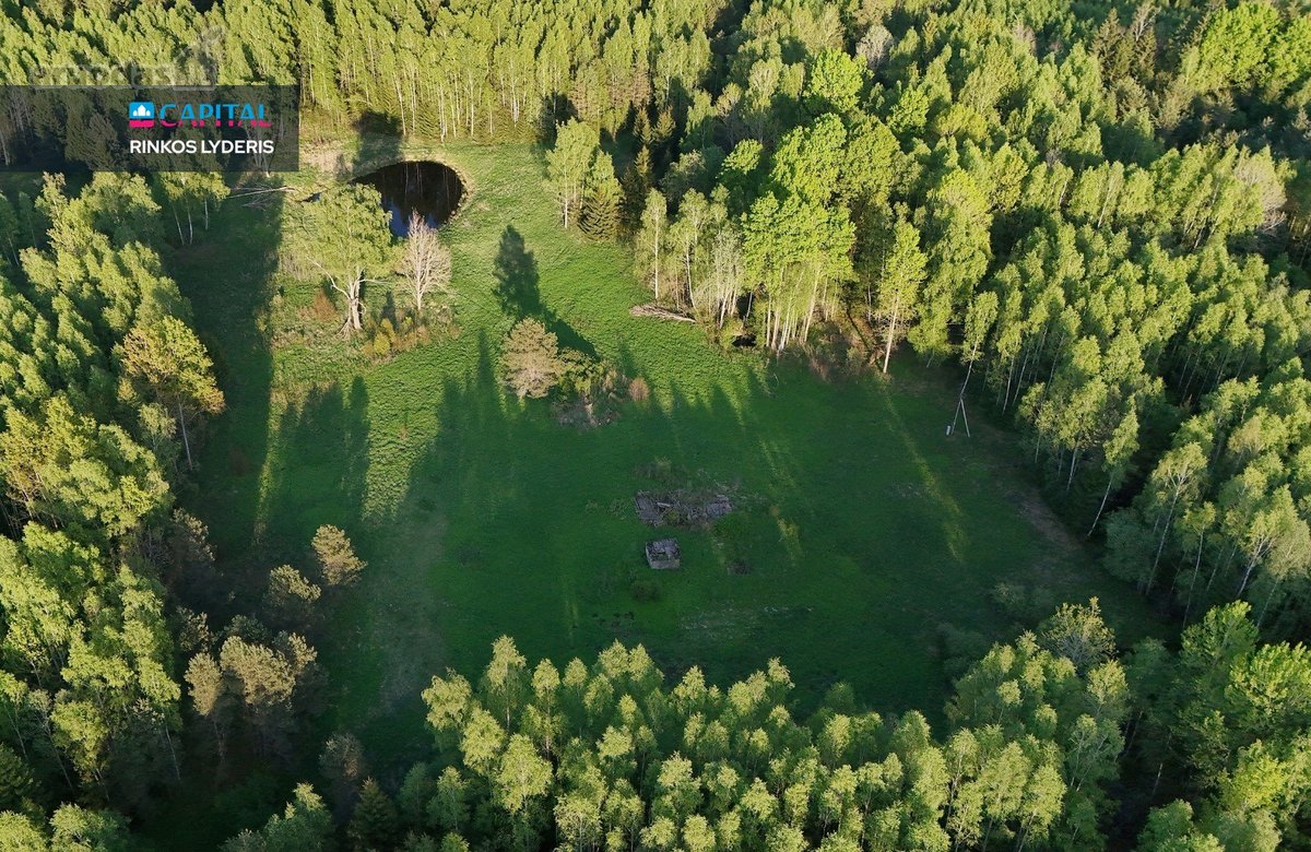Parduodamas 4,53 ha žemės ūkio paskirties - nuotraukos Nr. 19