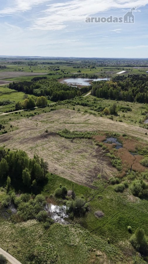 Išskirtinis 4,7 Ha Sklypas Klaipėdos Raj. - nuotraukos Nr. 7